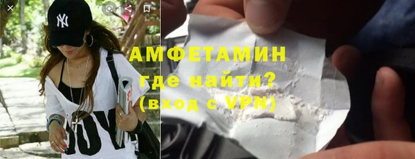 индика Волоколамск