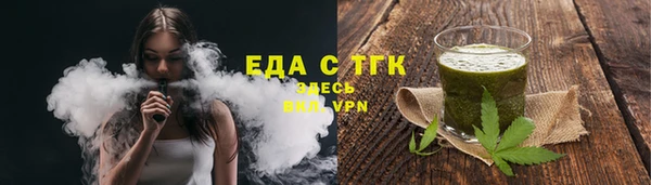 индика Волоколамск