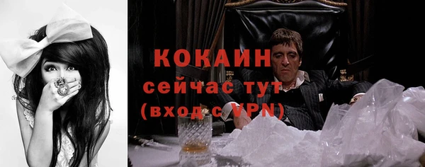 крисы Горнозаводск