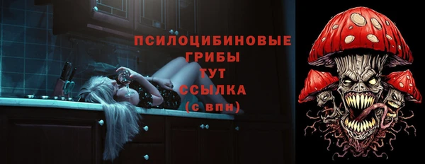 индика Волоколамск