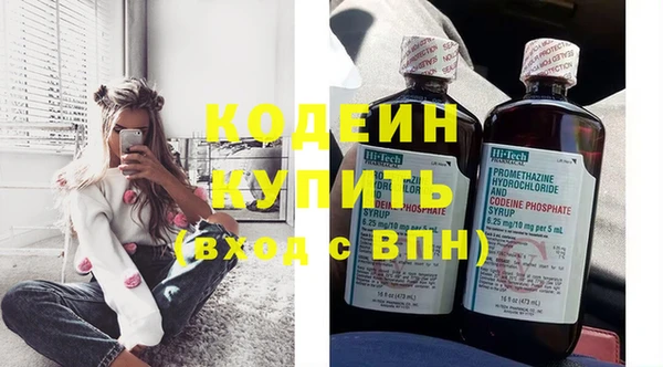 индика Волоколамск
