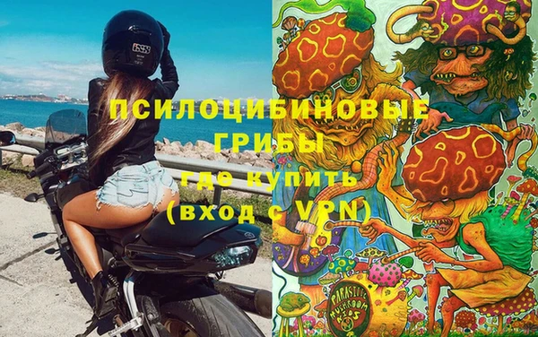 индика Волоколамск