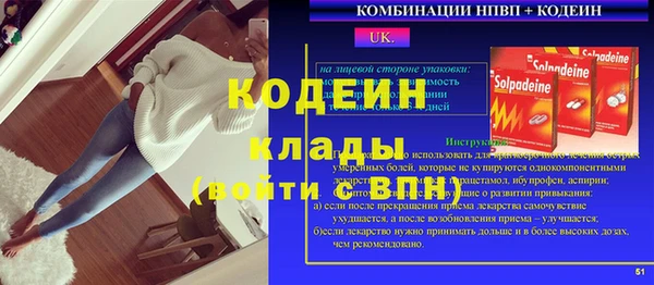 индика Волоколамск