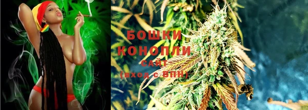 индика Волоколамск