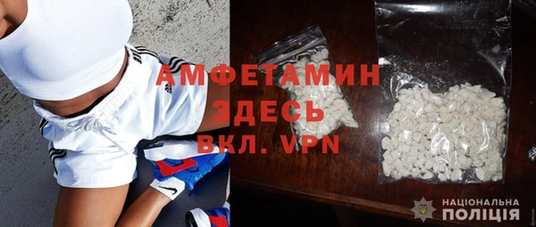 индика Волоколамск
