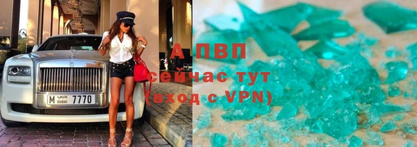 индика Волоколамск