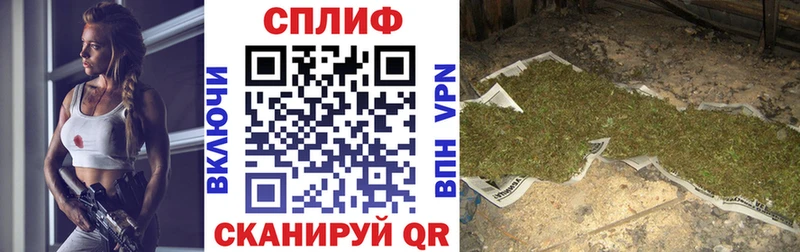 где можно купить   Приволжский  Бошки Шишки OG Kush 